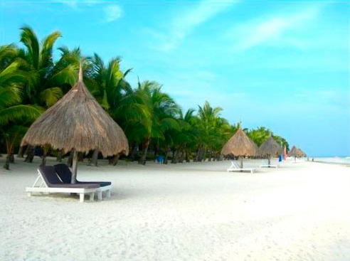 Отель Bohol Beach Club 3*, Филиппины