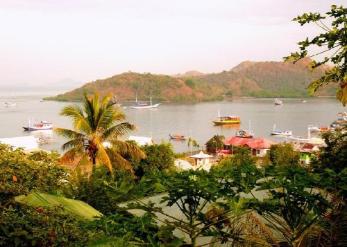 �������� ��� �� �������� ������ � ����� - ������