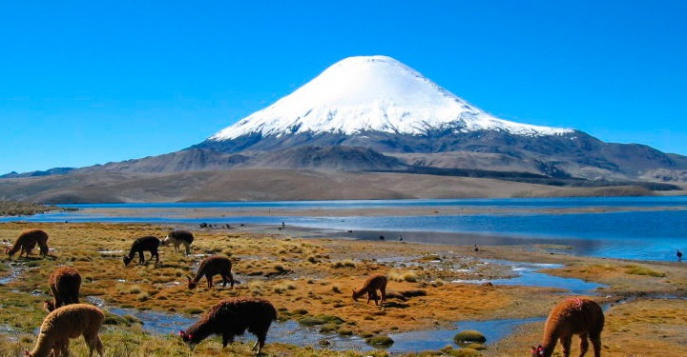 Чили – остров Пасхи – Боливия – Перу