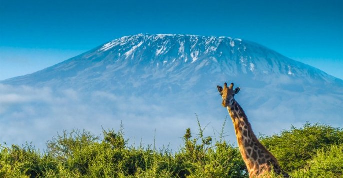 Uhuru peak, Килиманджаро