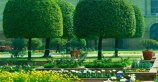 Могольские сады в Индии теперь доступны для посетителей