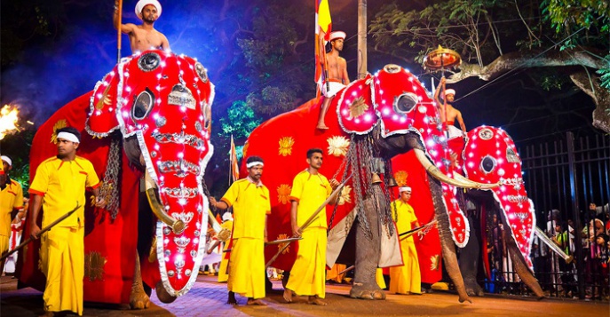 Праздник Перахера на Шри-Ланке 2013