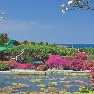 ����� Grand Hyatt Bali 5*