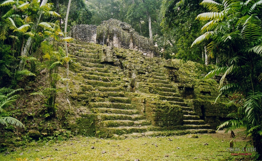 Джунгли гватемалы