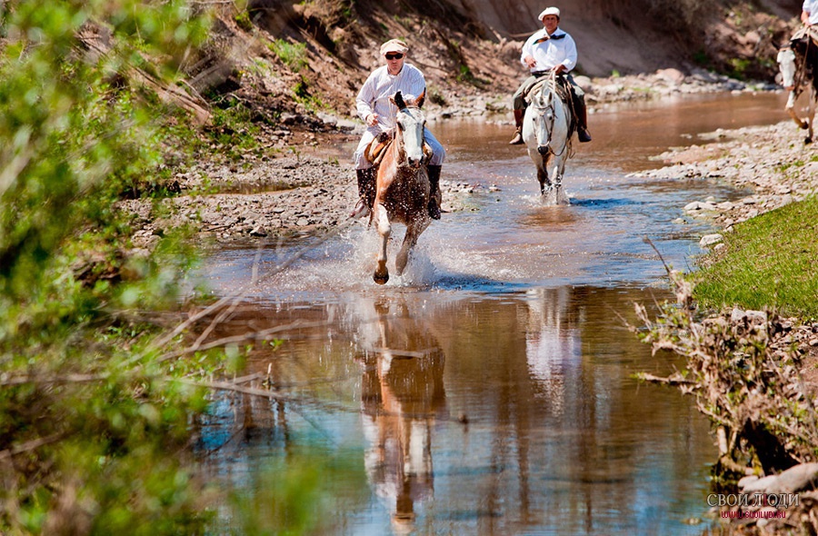 Отель El Colibri Estancia De Charme 5* - Кордоба, Аргентина.