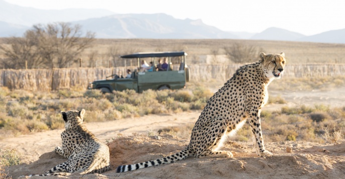 ТУРЫ в ЮАР в 2025-2026 году