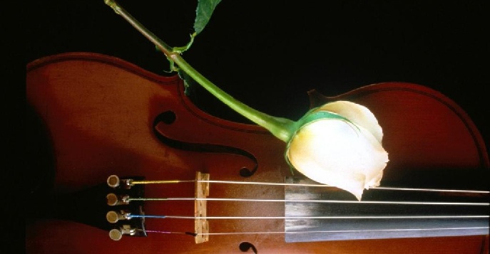 Италия: Музыкально-гастрономический WEEKEND: Скрипки и ветчина