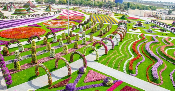 Новый сезон в парке Miracle Garden в Дубае