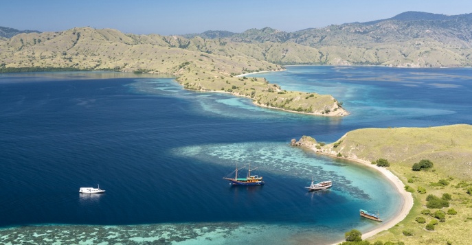 Остров Ринча, Индонезия