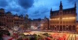 Очередной цветочный ковер появится в центре Брюсселя