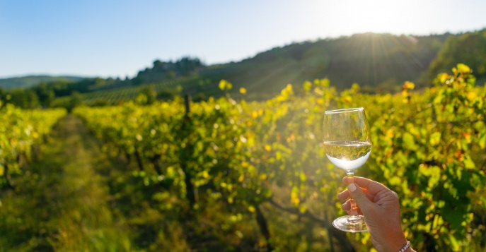 Гастрономический и винный тур в мини-группе