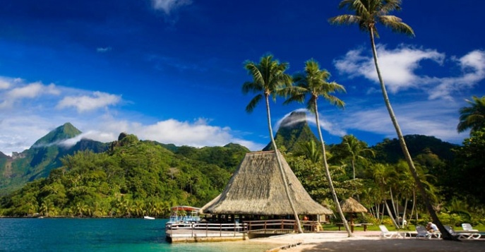 Приключения в США и Французской Полинезии
