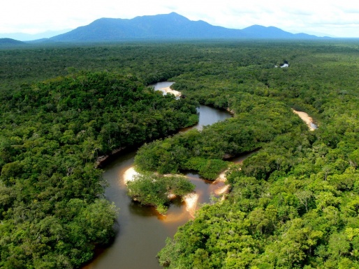 Амазония - один из национальных парков Бразилии