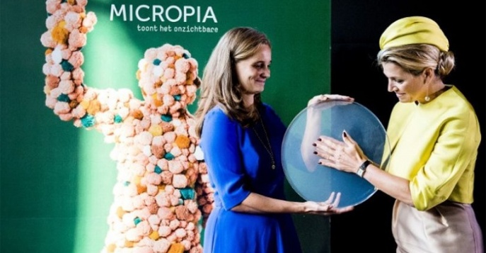 Зоопарк микробов открылся в Амстердаме