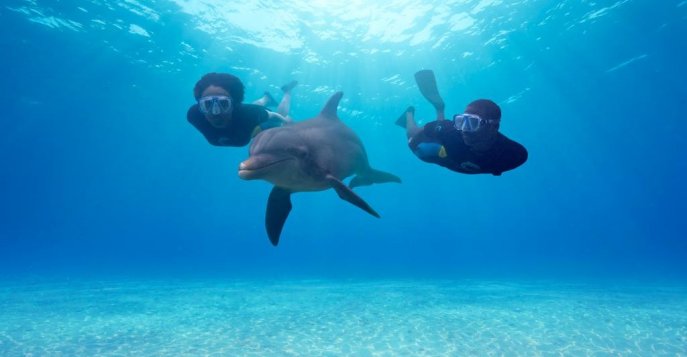 Отель The Reef Atlantis 5* - Нассау, Багамские острова