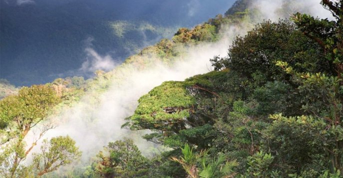 Заповедник Monteverde Cloud Forest Reserve, Коста-Рика