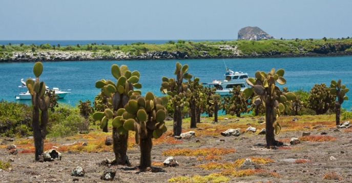 Остров Пласа Сур, Галапагоссы