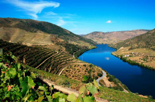 Виноградники Верхней Доуру, Португалия