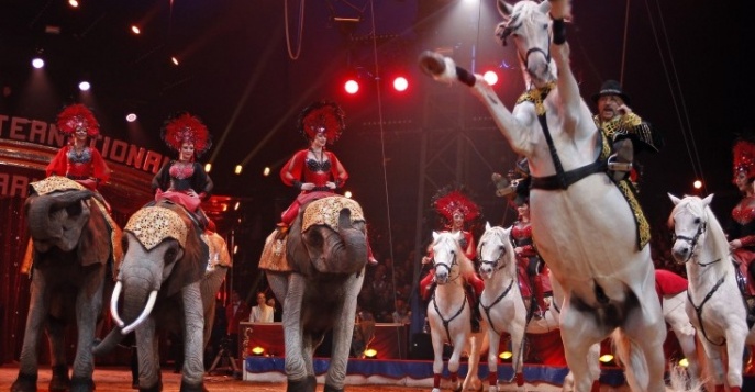 В Реусе состоится международный фестиваль «Feria Trapezi»