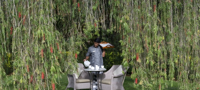 Ceylon Tea Trails - первый в мире курорт, состоящий из бунгало на чайных плантациях