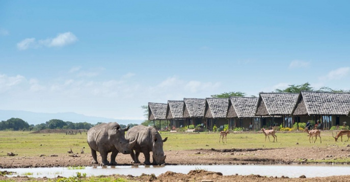 Национальный парк Ол Педжета, Кения
