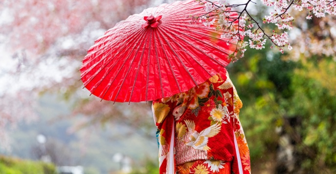 Классическое путешествие по Японии в период цветения сакуры 