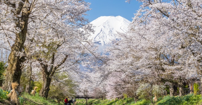 Весенняя Фудзи