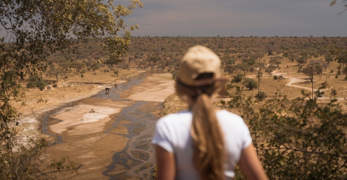Увлекательное сафари в Танзании и отдых на Занзибаре