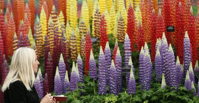 Всемирно известная выставка цветов в Челси снова удивит туристов