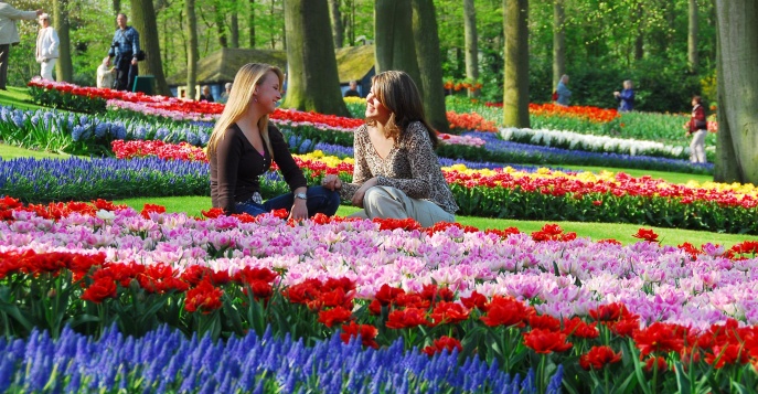 Индивидуальные экскурсии в сады Голландии