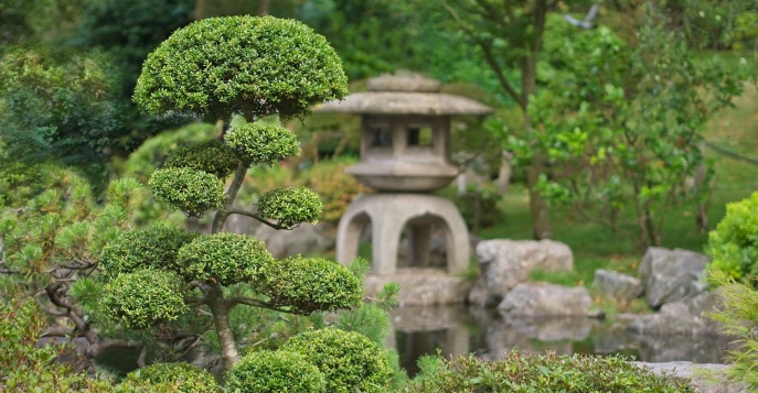 Ландшафтные туры