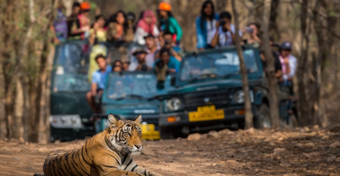 Рантхамбор