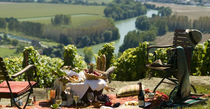 Дорогами французских вин: экскурсии и дегустации