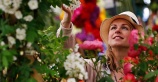 Грандиозное Chelsea Flower Show в самом разгаре. Вы еще успеете посетить!