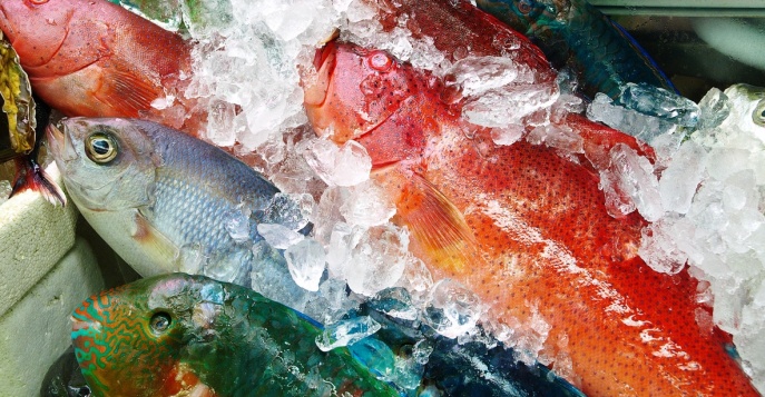 Разноцветные морепродукты на японском рынке