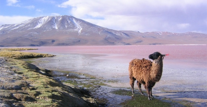 Туры в Боливию