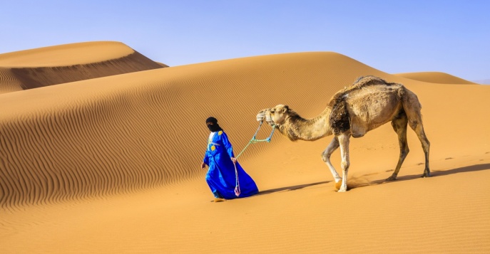 Марокко: касбы, дюны Сахары и океан