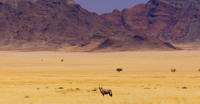 ЮАР и Намибия: круиз по Африке на VIP-поезде Rovos