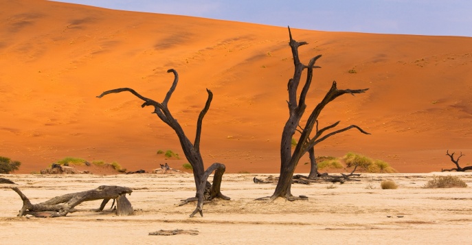 Путешествие по Намибии на роскошном VIP-поезде Rovos