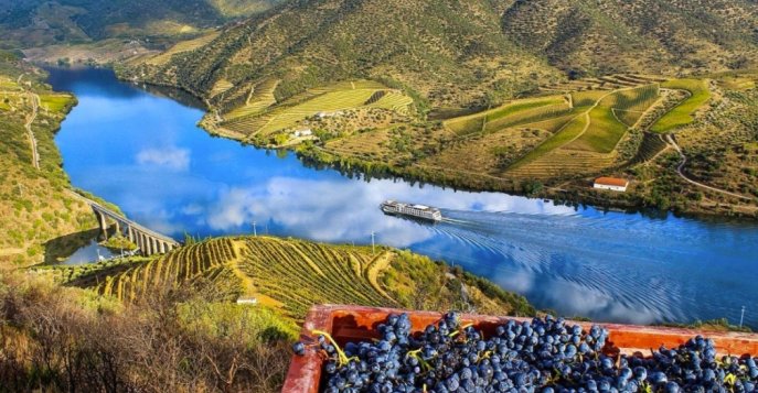 Португалия и Испания: Premium-тур «Легенды долины реки Доуру»