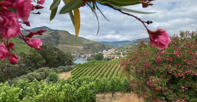 Португалия и Испания: Premium-тур «Легенды долины реки Доуру»