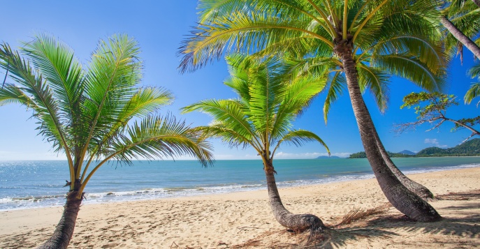 Австралия: красоты Сиднея и пляжи Палм-Кова