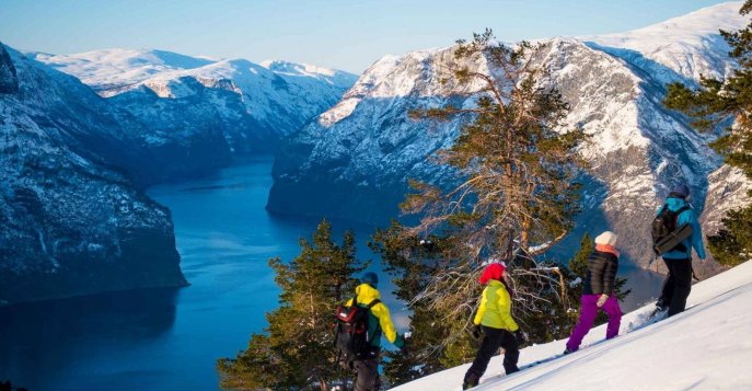 Зимние фьорды Норвегии экскурсионный тур, цены 2023 - Туроператор «Свои  люди»