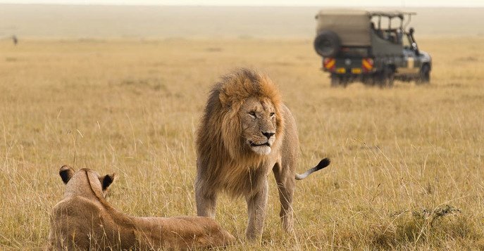 Охота в Африке