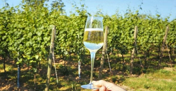 Вина Franciacorta - Тоскана, Италия