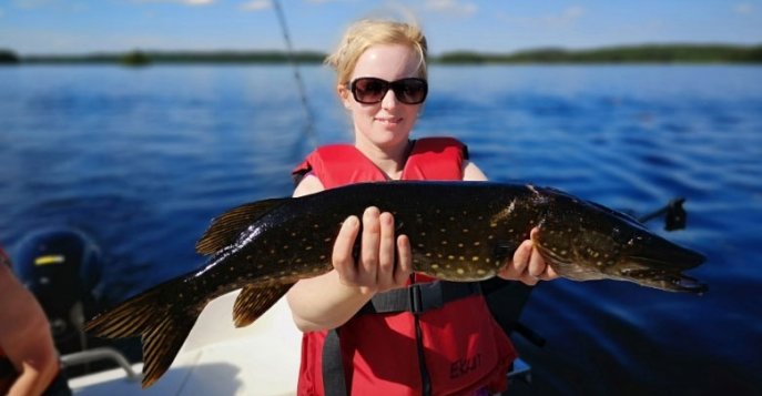 Королевская рыбалка в Финляндии на озере Сайма