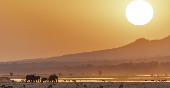 Лучшее в Зимбабве и Водопад Виктория. Скидка 50%!