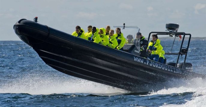 Сафари по фьорду на скоростных лодках (RIB-boats) Тромсё, Норвегия