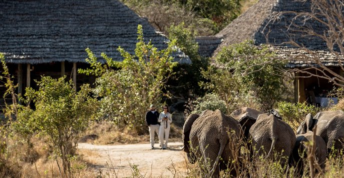 Nimali Tarangire Lodge, Танзания