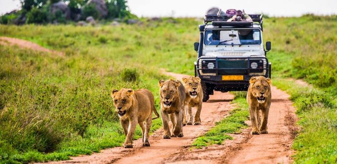 Национальный парк Нгоронгоро, Танзания